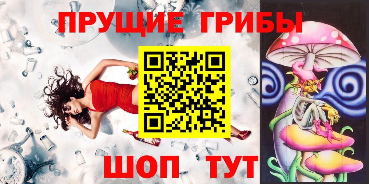 Псилоцибиновые грибы Psilocybe Балтийск