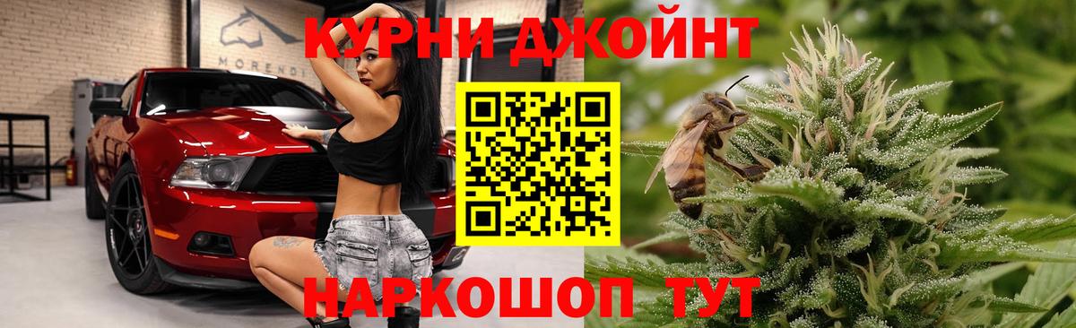 Канабис семена Балтийск